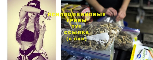 бутират Алзамай