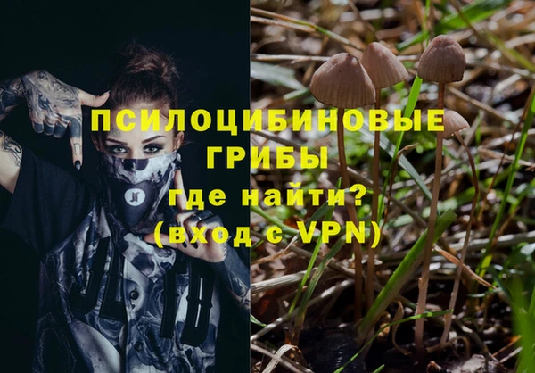 меф Алексин