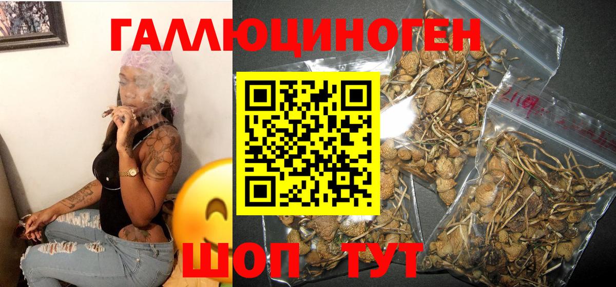 Галлюциногенные грибы MAGIC MUSHROOMS  Вход с VPN  Десногорск  Галлюциногенные грибы Psilocybe 